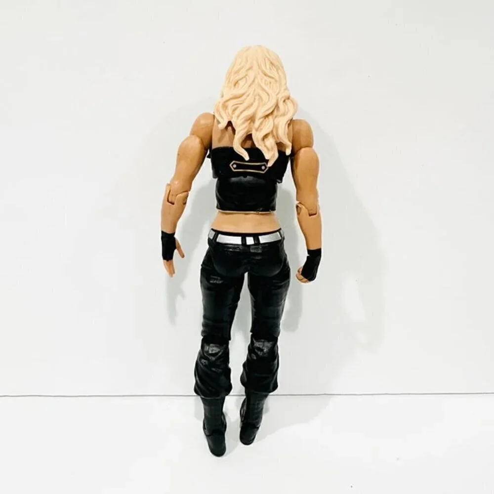WWE Mattel Kaitlyn Series 36 #12 Wrestling Figure 2014
